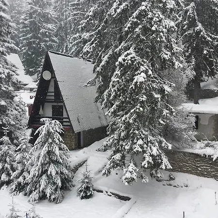 Сasa de vacaciones Vikendica Bijeli Bor - *